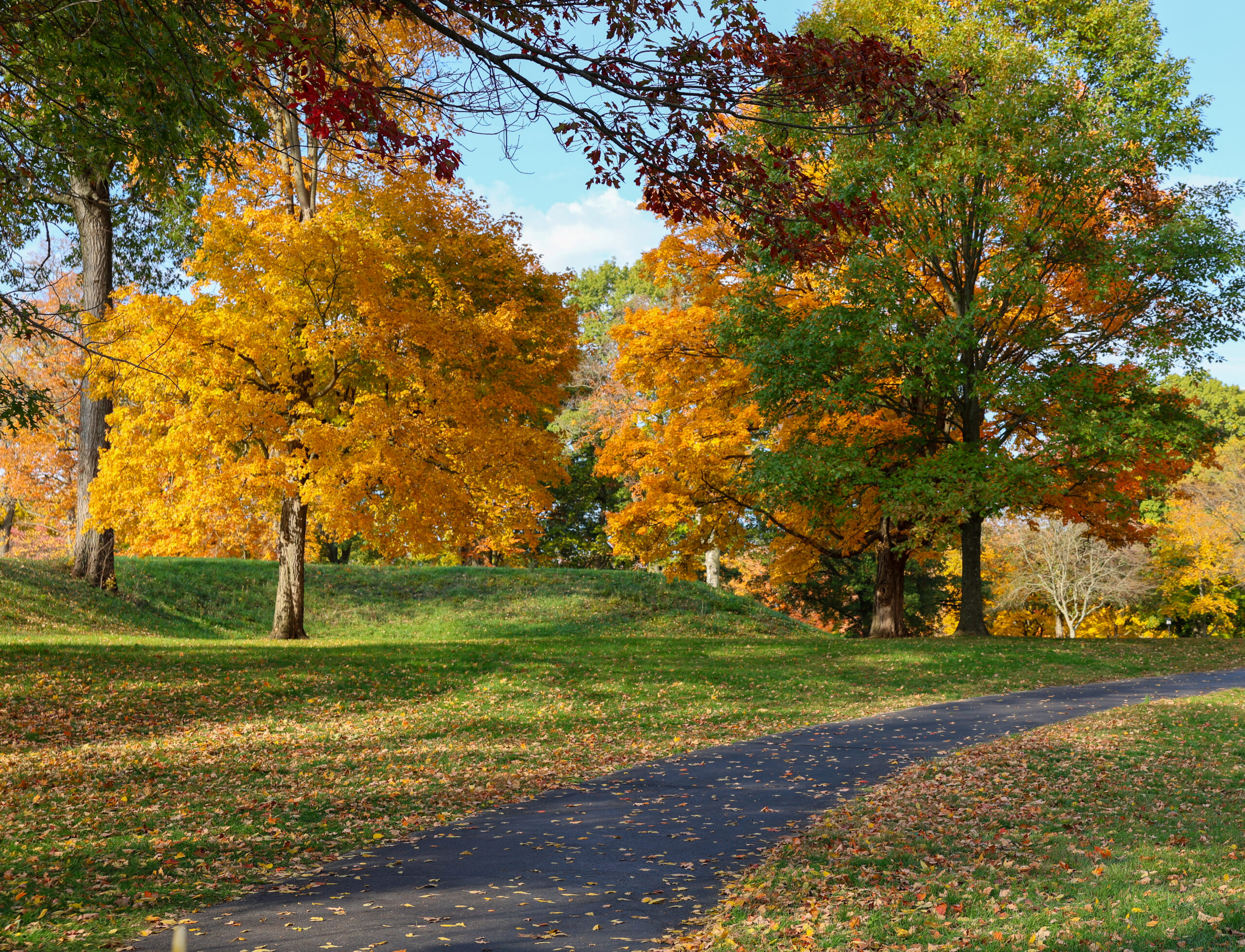 Fall Shot of the Great Circle walkway leading up to the monumental gateway and museum.