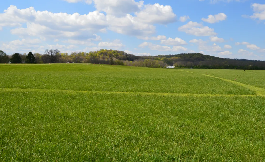 Hopewell Earthworks