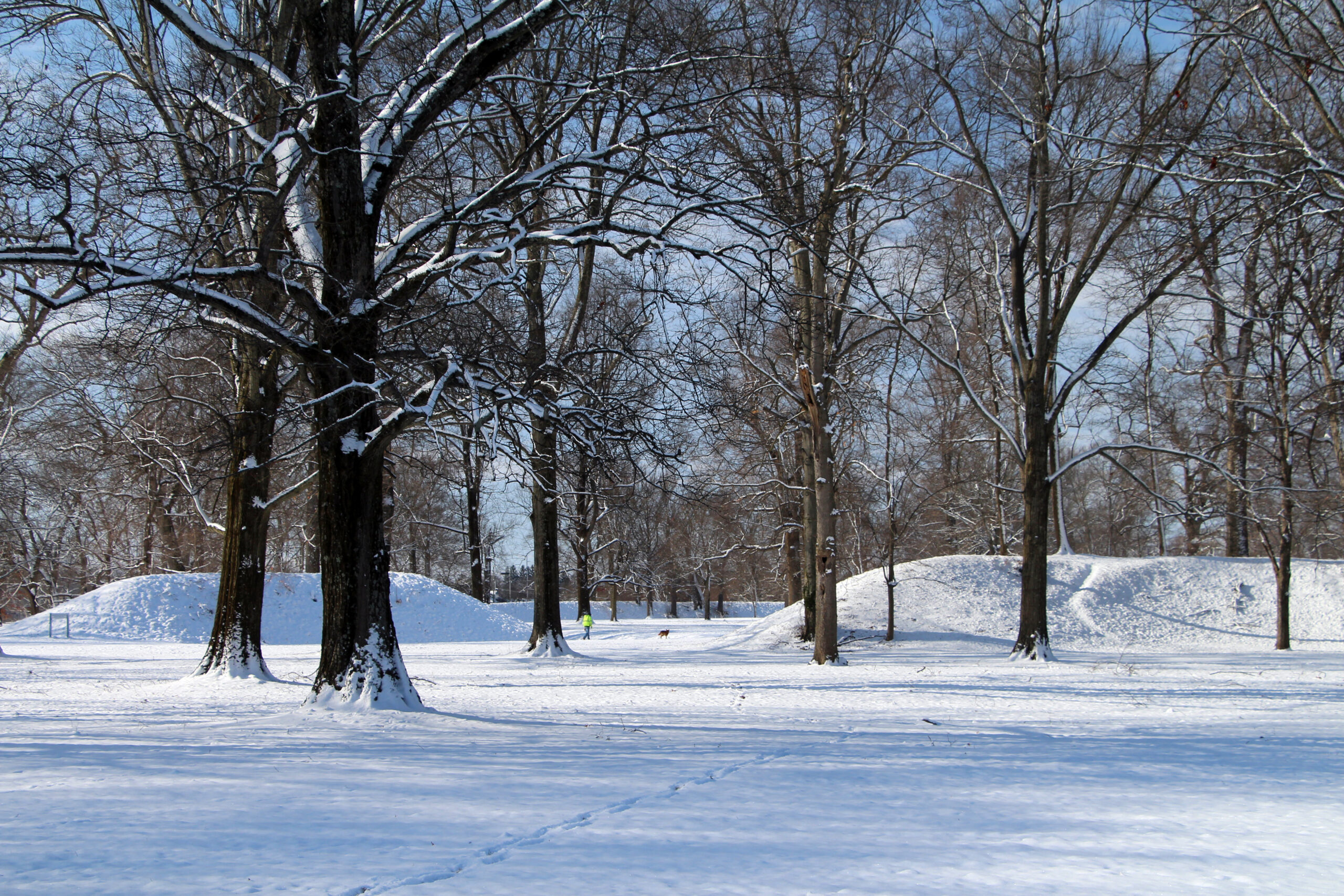 Image of the Great Circle Earthworks in the snow. Image by Aaron Keirns.