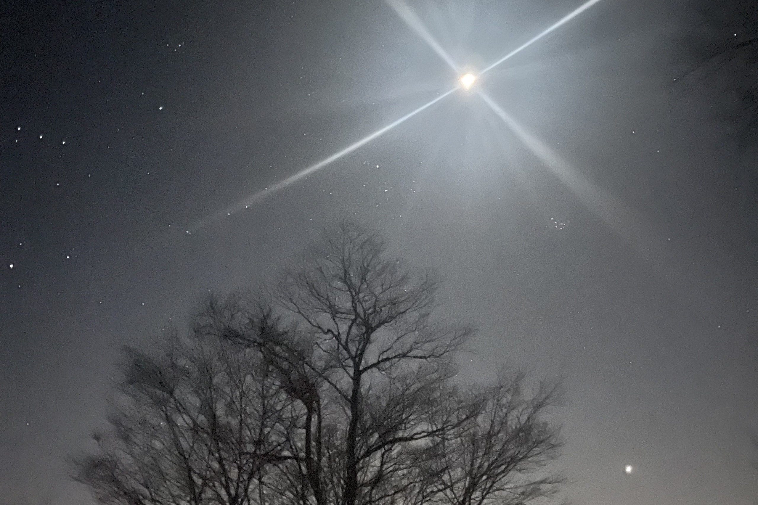 Image of the moon shining in the night sky at Fort Ancient, with a tree silhouette visible.