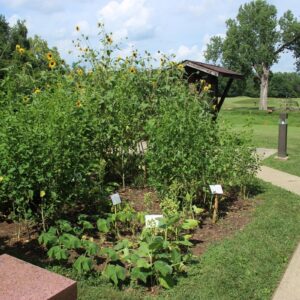 Garden at the Mound City Visitor Center